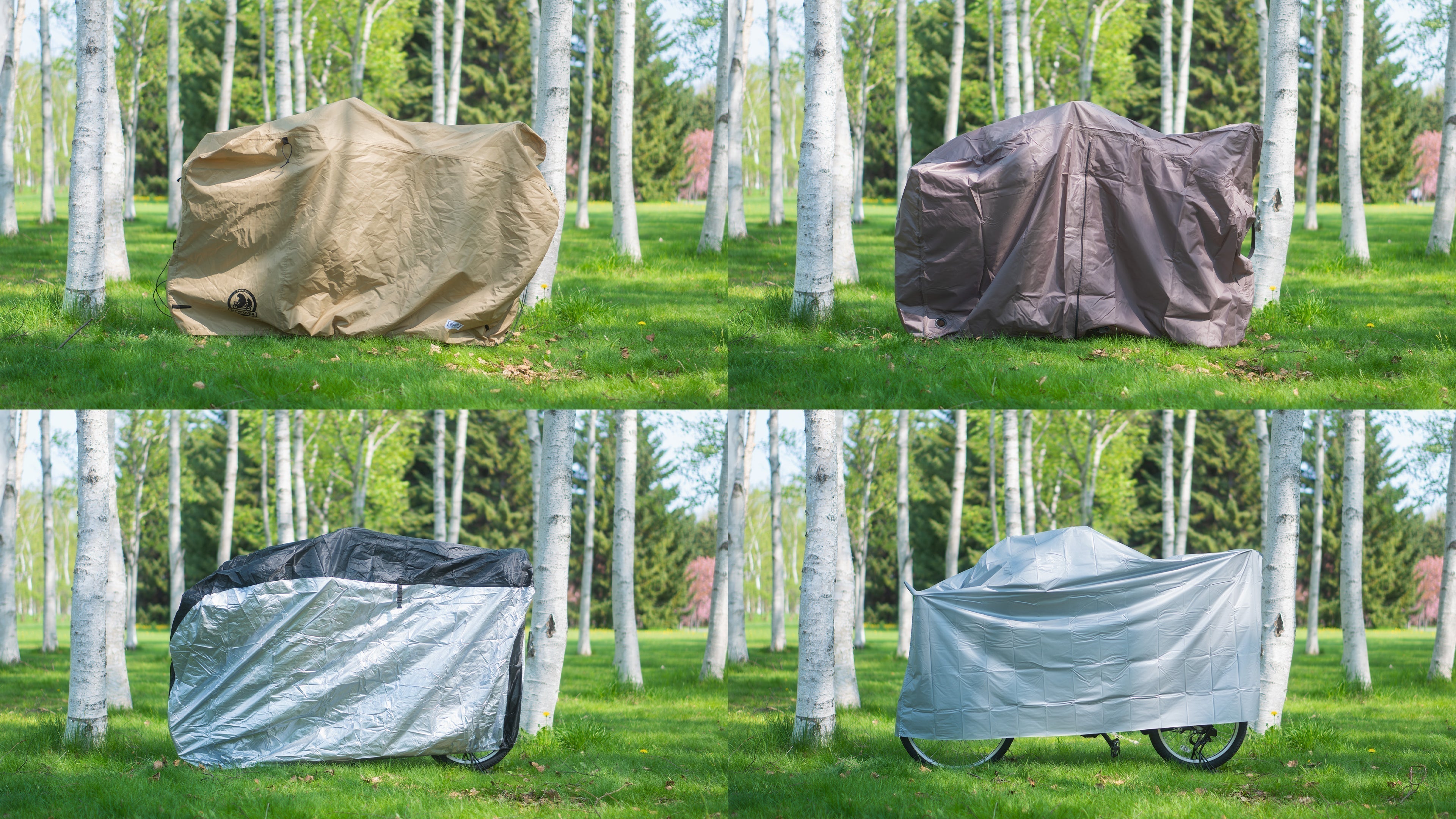 20250520v1jpg.jpg?v=1748574648